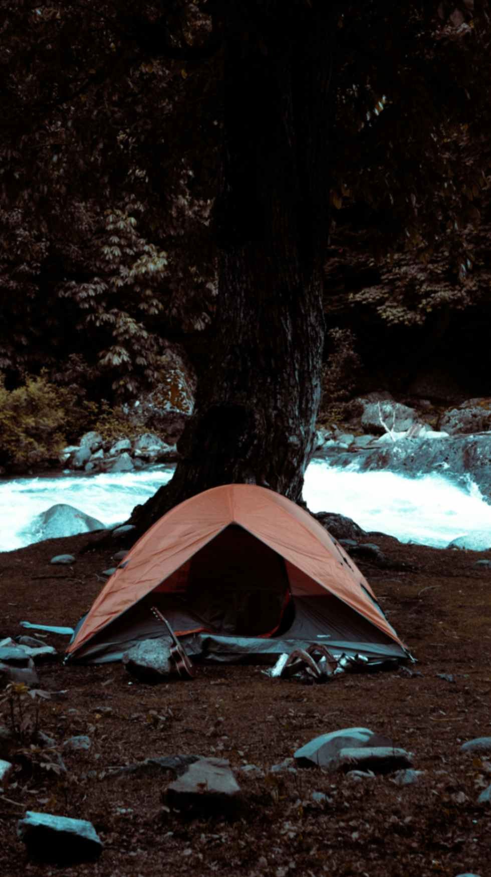 camping